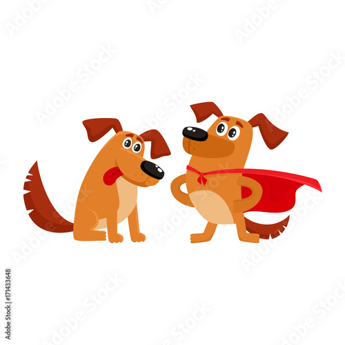 Two funny brown dog characters, one standing in superhero cape, another sitting and looking in admiration, cartoon vector illustration isolated on white background. Two funny house dog characters