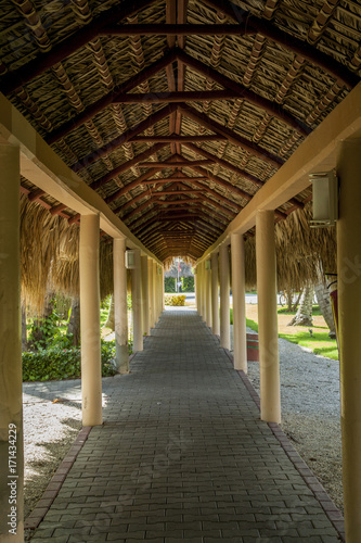Tiled road covered with palm leafs. Tropical caribbean beach.