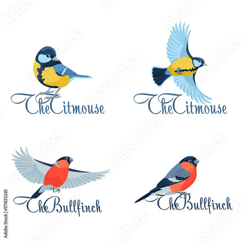 Titmouse and bullfinch as company symbols / Four concepts of logotype with titmouse and bullfinch on white background
