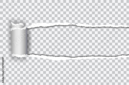 Set vector realistic illustration of transparent torn paper with rolled edge on transparent background