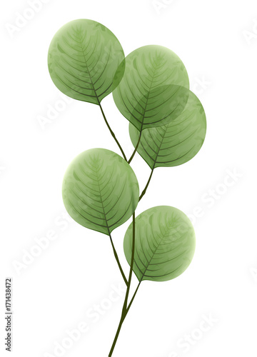 Tree branch with leaves. Eco decorative element.