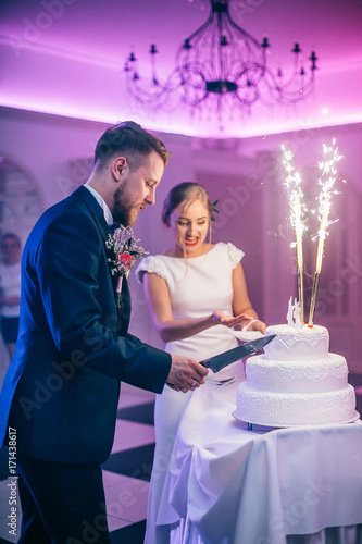 Happy bride and groom cut the wedding cake in the front of fireworks