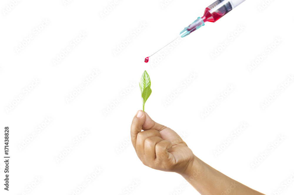 Conceptual biologist putting liquid from syringe into sprout isolated