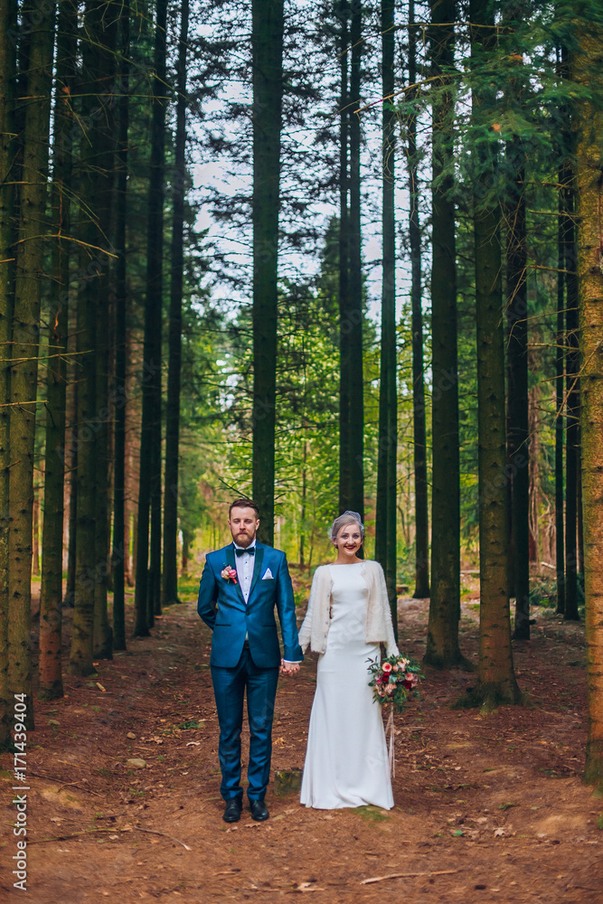 Fototapeta premium Wedding couple are walking in the forest. Newlyweds embacing in pine park and hug each other