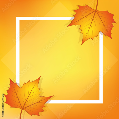 herbst hintergrund ahornblätter