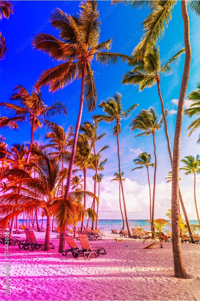 Obraz premium Beach background.