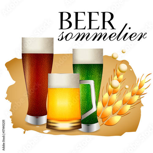 Beer sommelier banner with three beer glasses with dark, green and light brew on white background. Vector illustration