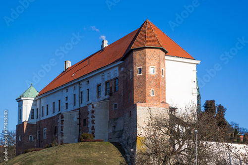  Zamek w mieście Sandomierz, Polska