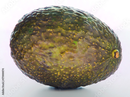 Avocado photo