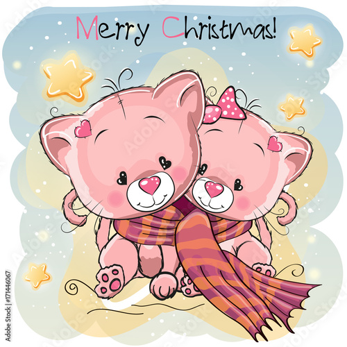 Two Cute Cats