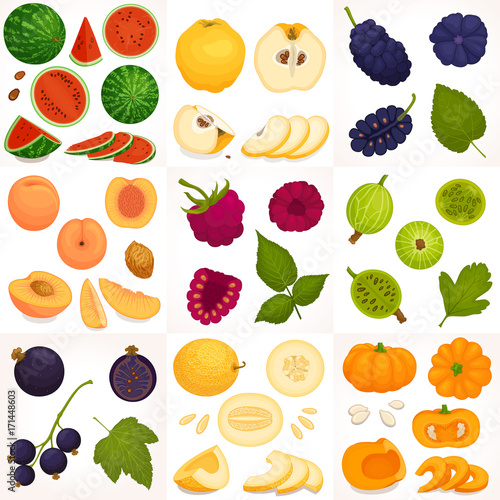 A set of different fruits and berries. Vector illustration. Whole, halves and sliced fruit.