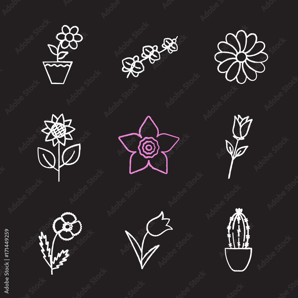 Fototapeta premium Flowers chalk icons set