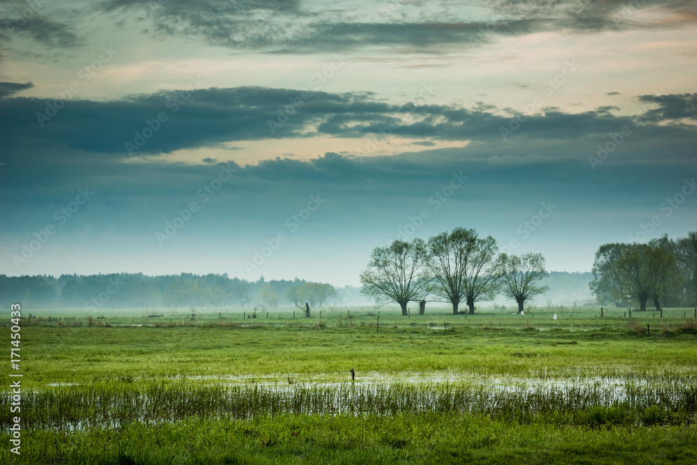 Basins river Narew somewhere on Podlasie, Poland
