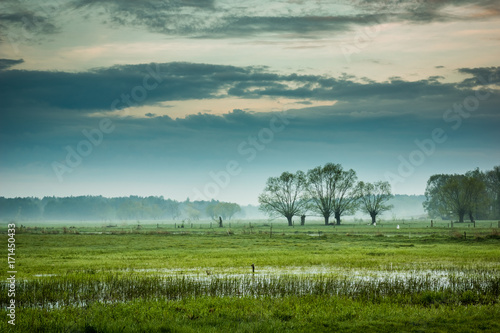 Obraz na płótnie Basins river Narew somewhere on Podlasie, Poland w salonie