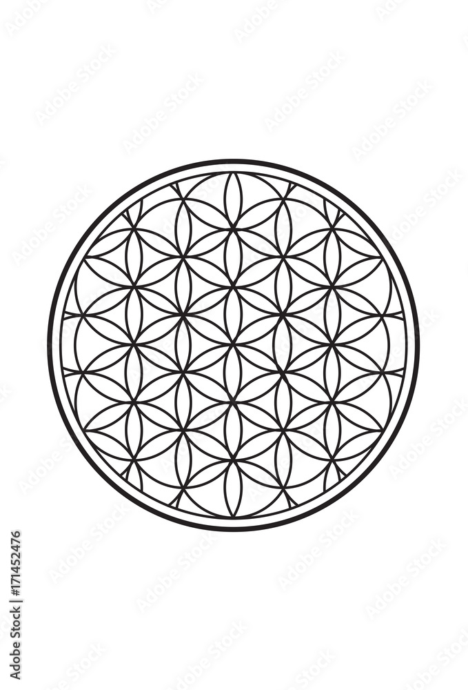Spiritual Flower of Life Black and White Illustration 1 Spiritual Flower of Life Black and White Illustration 1