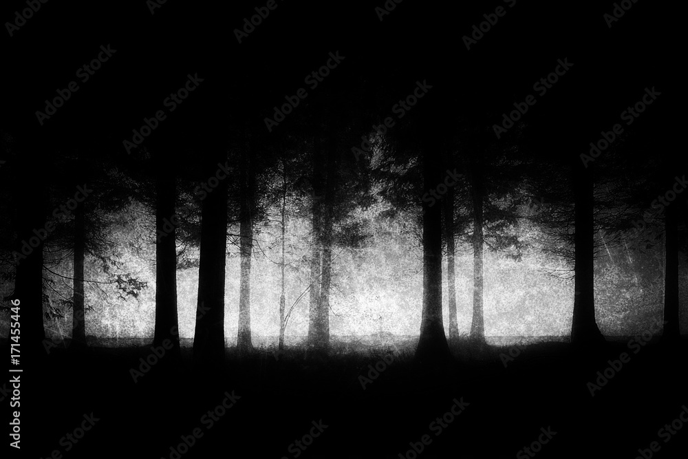 Naklejka premium dark and scary forest with grungy textures