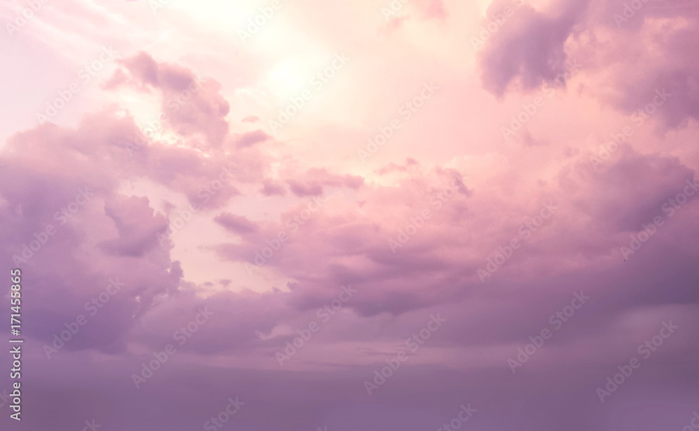 purple and pink sky