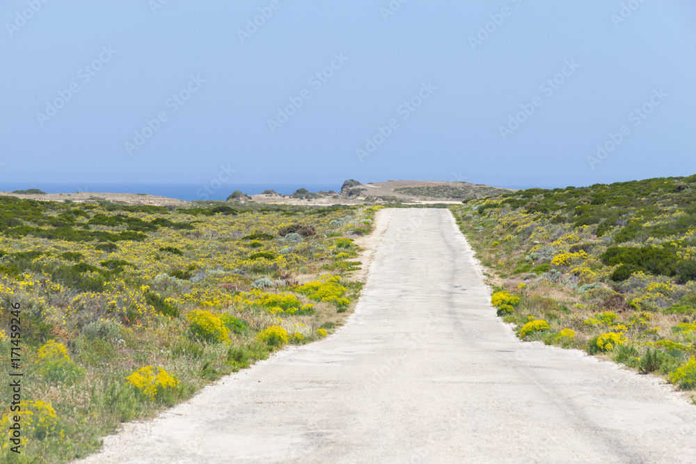 Road, flowers and mountain in Arrifana
