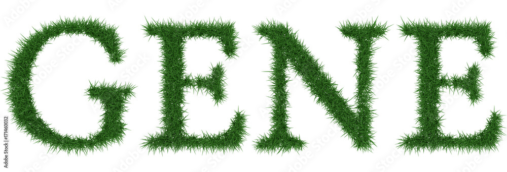Gene - 3D rendering fresh Grass letters isolated on whhite background.
