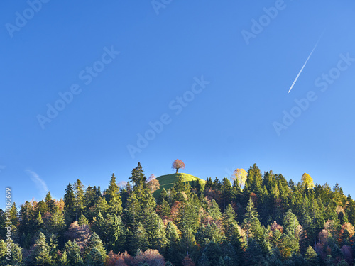 Flieger über bewaldetem Hügel mit gepflanzter Sommerlinde im Emmental photo