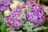 The decor of the flowers of hydrangea. The concept is a holiday, a wedding, marriage, a ceremony.