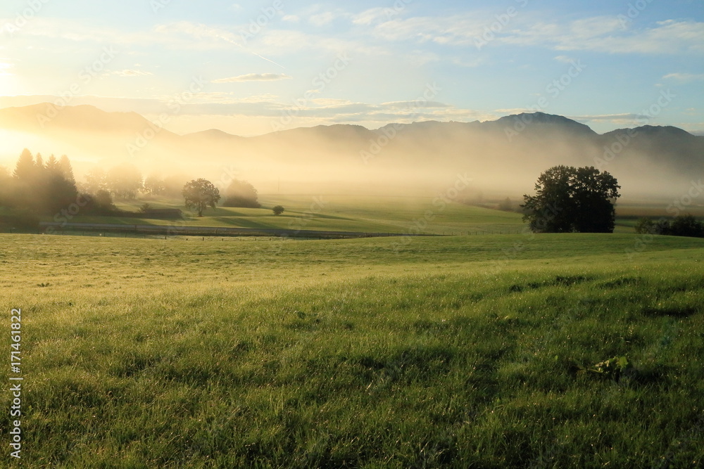 Naturlandschaft am Morgen