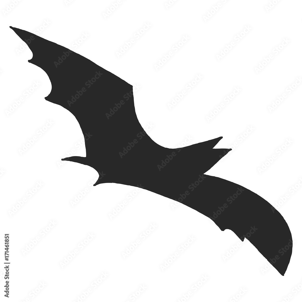 Fototapeta premium Hand Drawn Halloween Set. Bat.