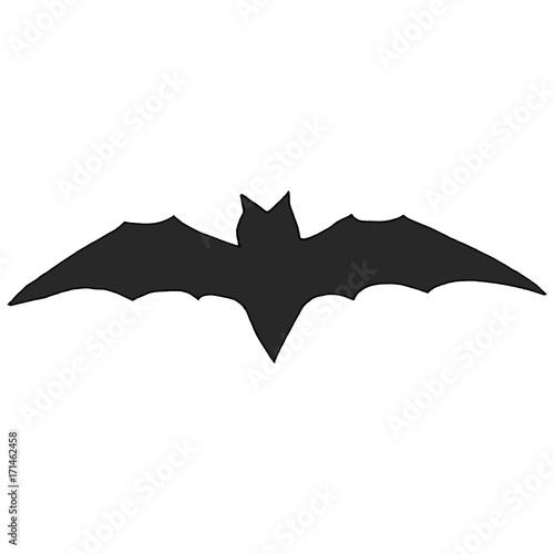 Hand Drawn Halloween Set. Bat.