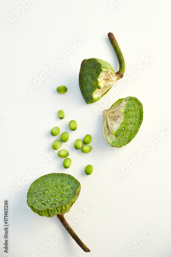 Fototapeta Naklejka Na Ścianę i Meble -  lotus seed close up