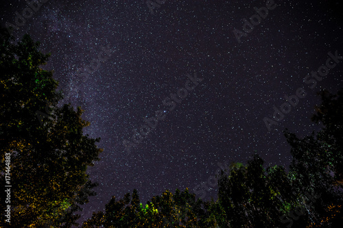 Blue dark night sky with many stars above field of trees.
