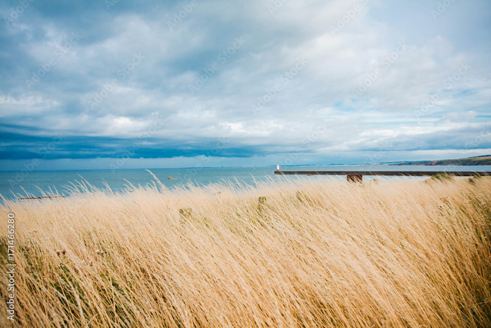 Beautiful landscape with a lighthouse, Berwick Upon Tweed, England, UK Beautiful landscape with a lighthouse, Berwick Upon Tweed, England, UK