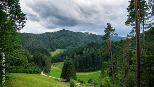 Black Forest - Above the forest and many trees and green meadows