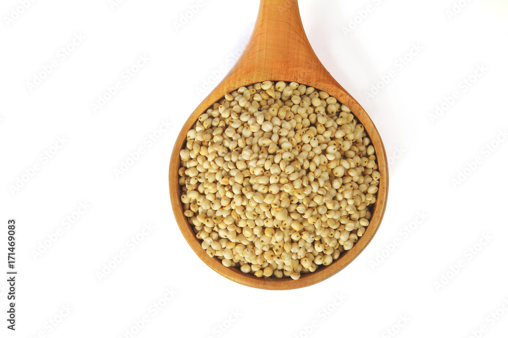 Indian Made sorghum with Wooden Scoop Indian Made sorghum with Wooden Scoop
