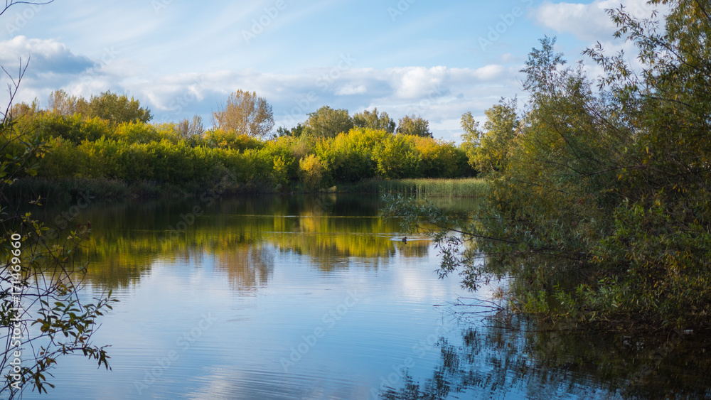 A small lake in the Park, the yellowing trees along the shore. The reflection of sky and trees in the water of the lake. A beautiful scenic place