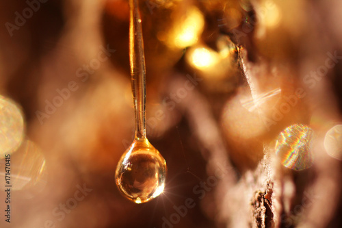 the light beam staring at the star in a drooping drop of resin photo