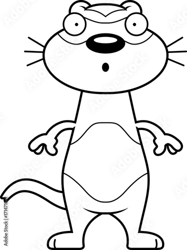 Surprised Cartoon Ferret