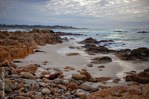 Pacific coast, 17 mile drive. Monterey, California.