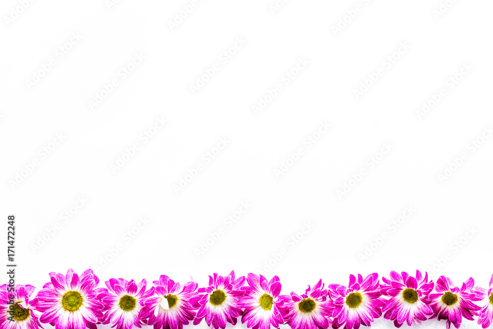 Floral pattern with pink flowers on white background top view copyspace Floral pattern with pink flowers on white background top view copyspace