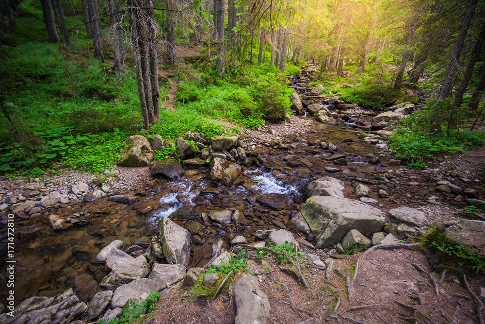 Mountain River in the wood. Ukrainian Carpathians. Mountain River in the wood. Ukrainian Carpathians.