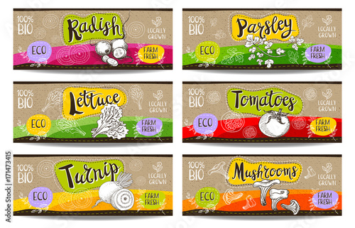 Set of hand drawn labels food, spices.