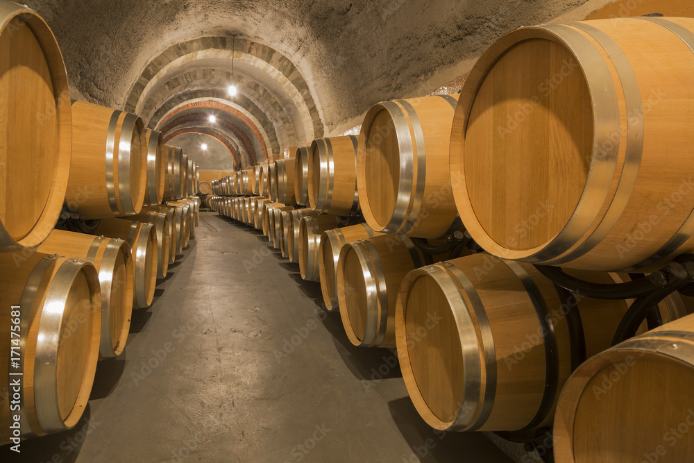 Barrels of wine