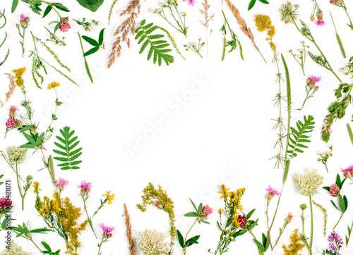 Frame of wildflowers and leaves on white background photo
