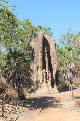 Huge termite mound in the Northern Territory of Australia