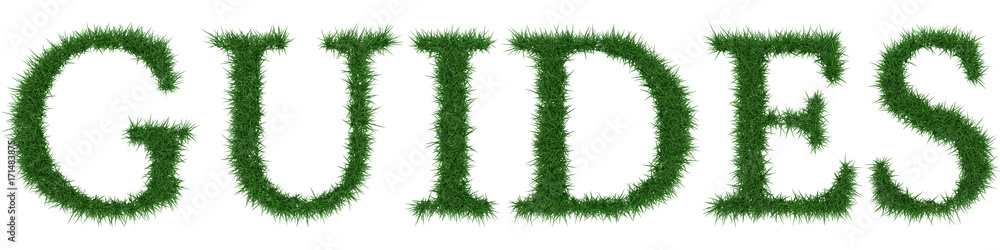 Guides - 3D rendering fresh Grass letters isolated on whhite background. Guides - 3D rendering fresh Grass letters isolated on whhite background.