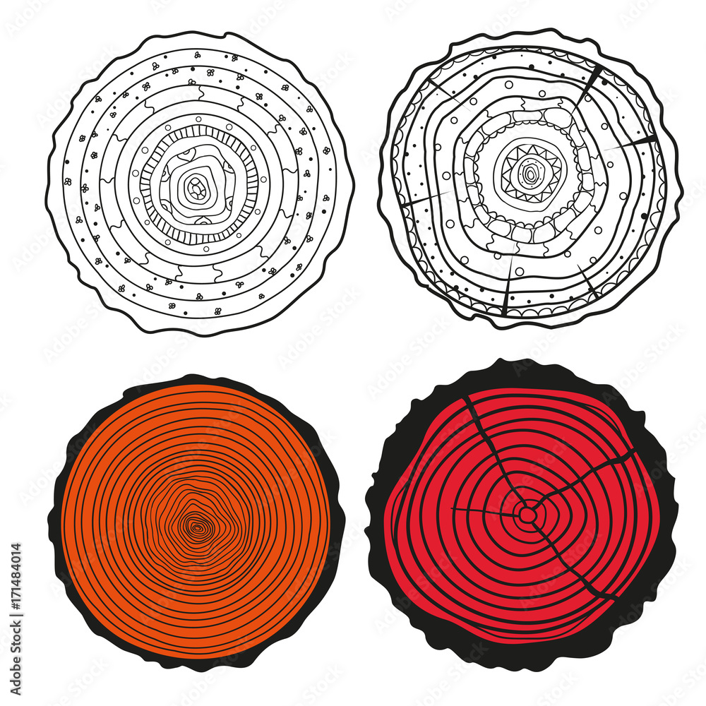 Tree rings. Set of cross section of the tree.Set of tree rings on