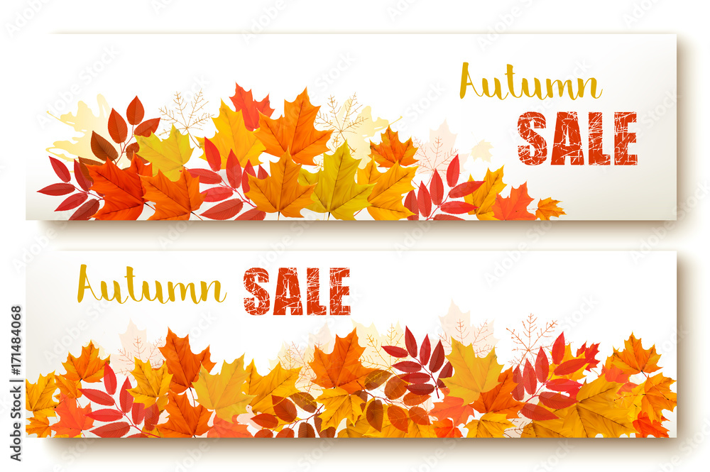 Obraz premium Two abstract autumn banners with colorful leaves Vector