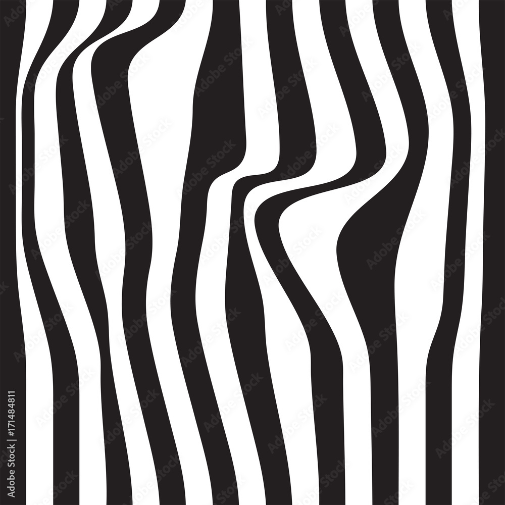 Striped abstract background. black and white zebra print. Vector seamless illustration. eps10 Striped abstract background. black and white zebra print. Vector seamless illustration. eps10