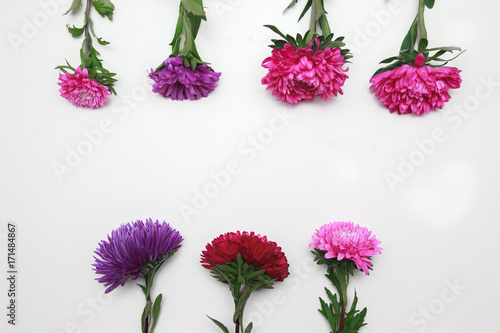 Flower pattern on white background, top view