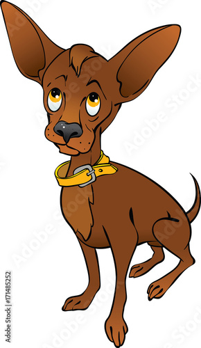 small dog with ashamed look.