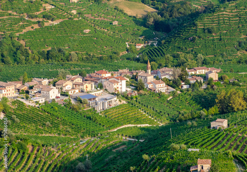 Cartizze and Prosecco vineyards and caves in Valdobbiadene Conegliano territory, Veneto.